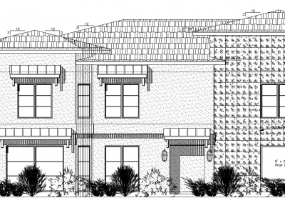 Leaning Oak, Houston, TX